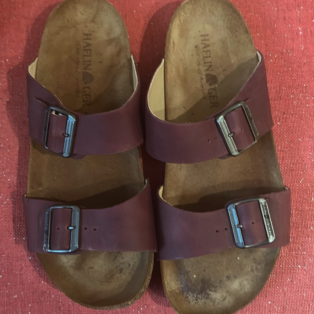 Haflinger comfort. Wine color